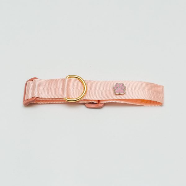 Collar Clásico Ajustable con Pin